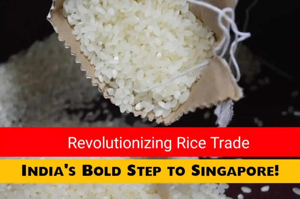 india-exporting-rice-singapore