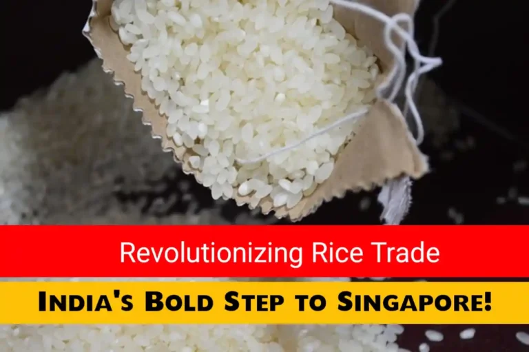 india-exporting-rice-singapore