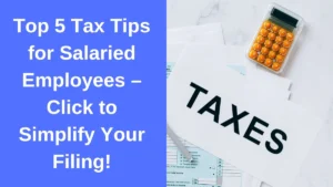 TaxFilingTips, SalariedTaxReturn, MaximizeRefunds