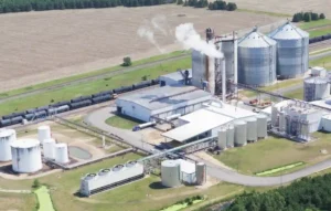Godavari Biorefineries IPO
