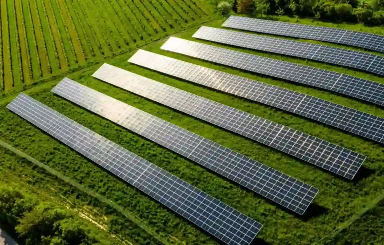 Waaree Energies IPO Allotment Status Your Complete Guide