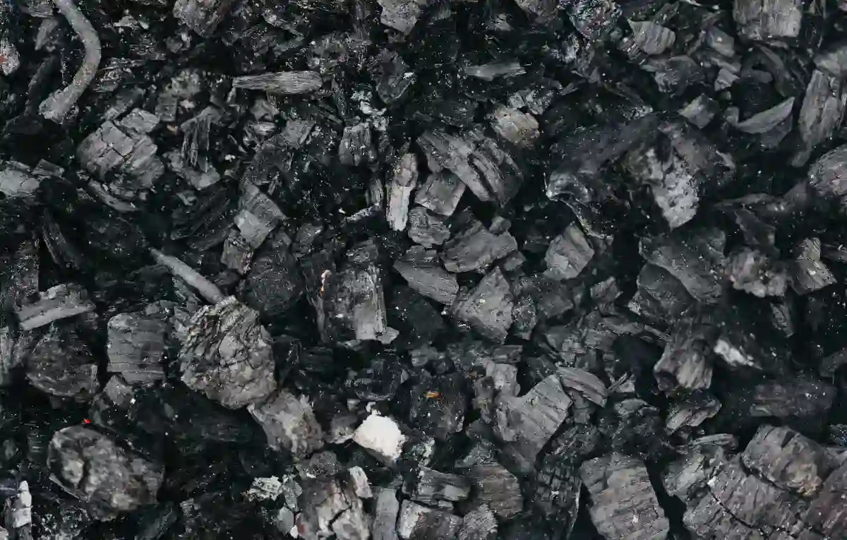 Coal India Share Price,